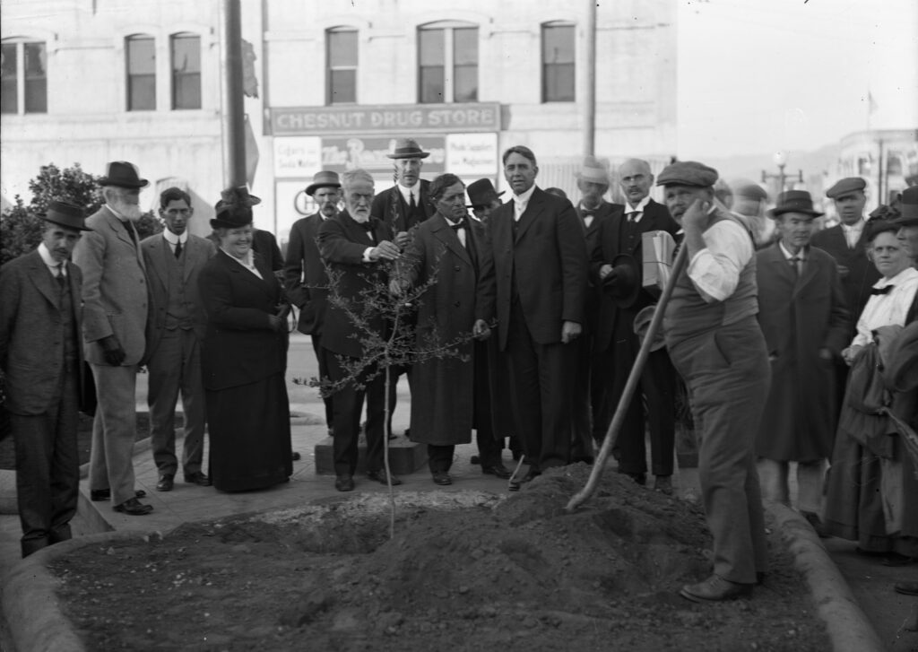 Arboricultural Society, Tree planting 11 12 1915 01