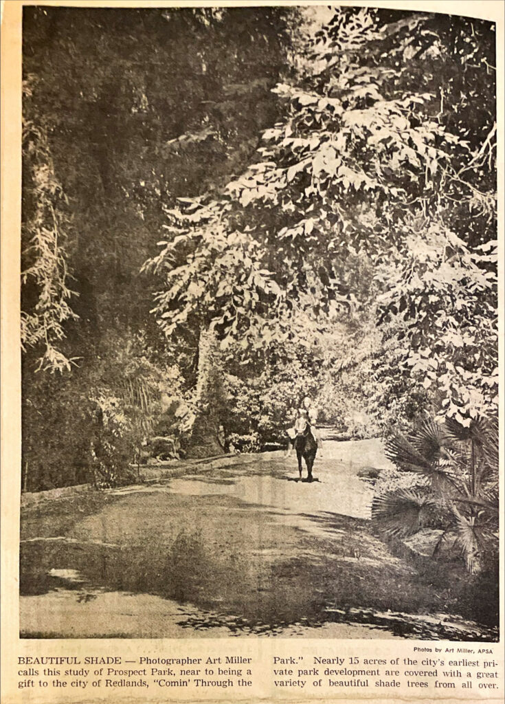 Prospect Park_SB Sun, 11-24-1967_PHOTO