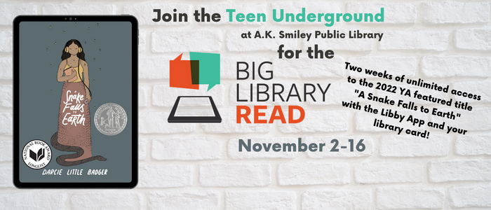 Virtual Teen Book Club...The Big Library Read